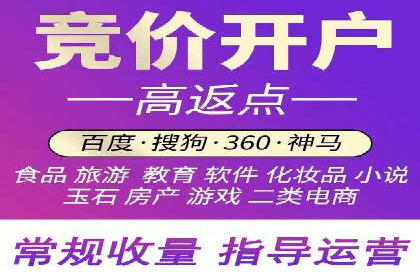 百度竞价排名案例分析：提升网站流量与转化率